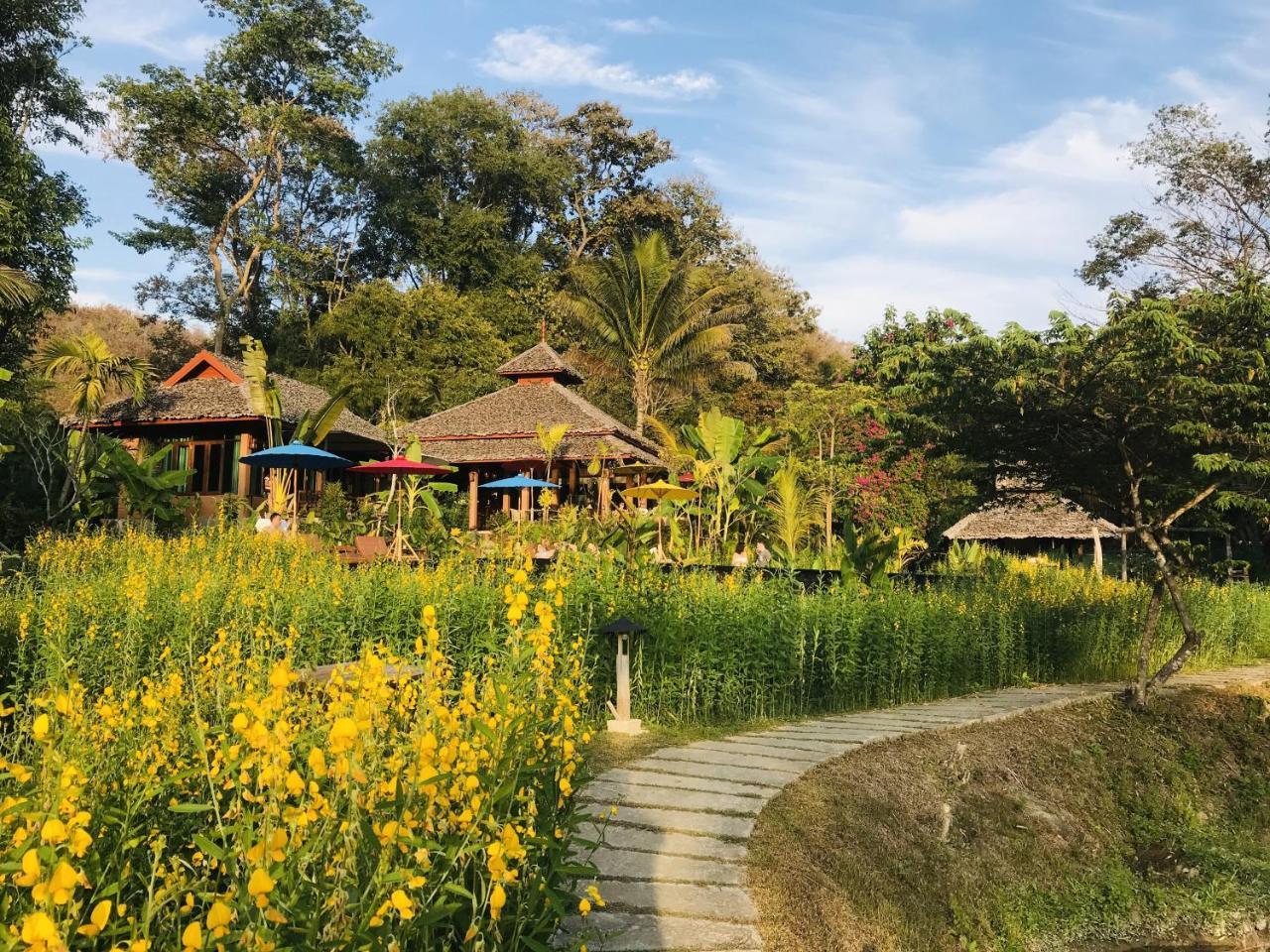 Fern Mae Hong Son