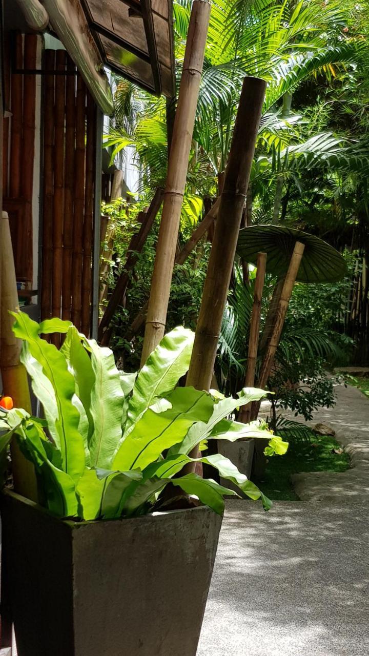 Guest house Sairee Sairee Koh Tao
