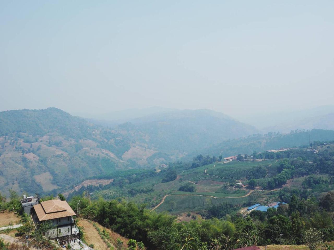 Phumektawan ภูเมฆตะวัน Hotel&restaurant Mae Salong