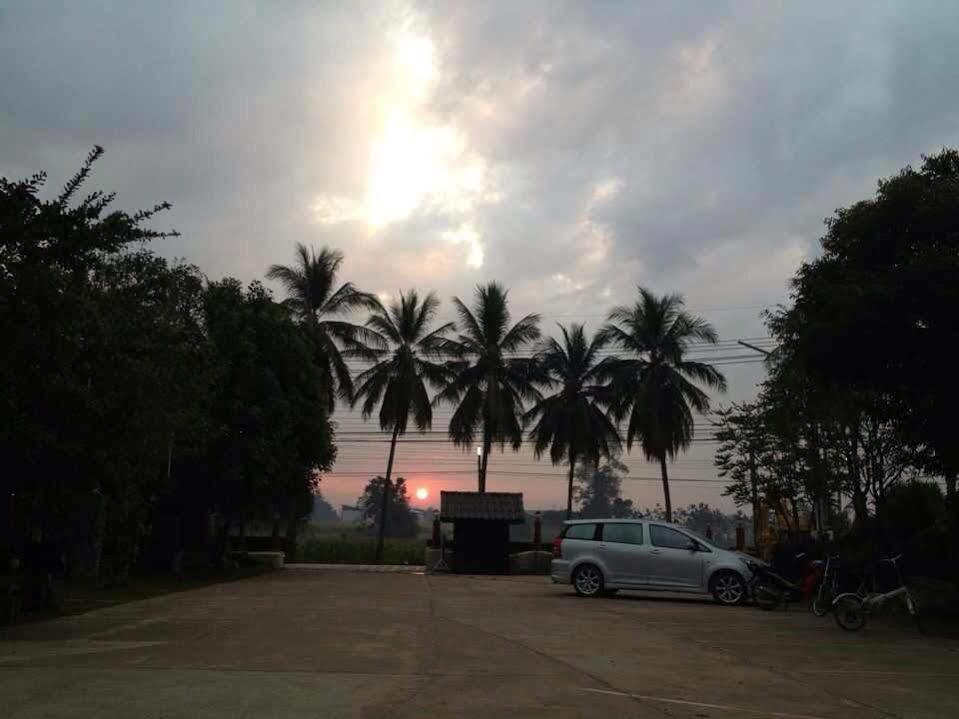 Resort Maiyai - Big Tree
