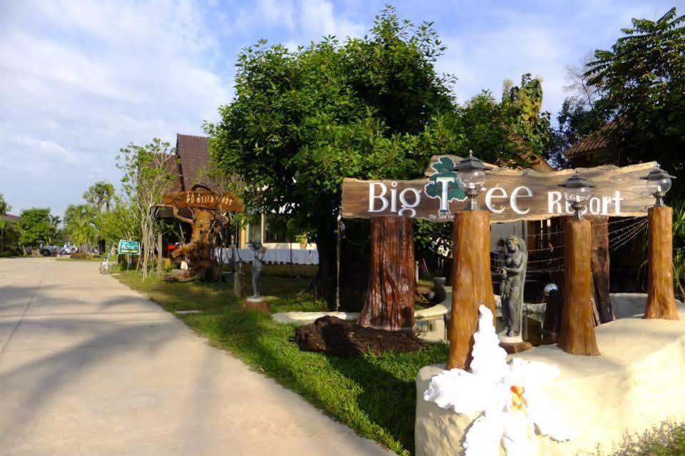 Maiyai - Big Tree Kamphaeng Phet