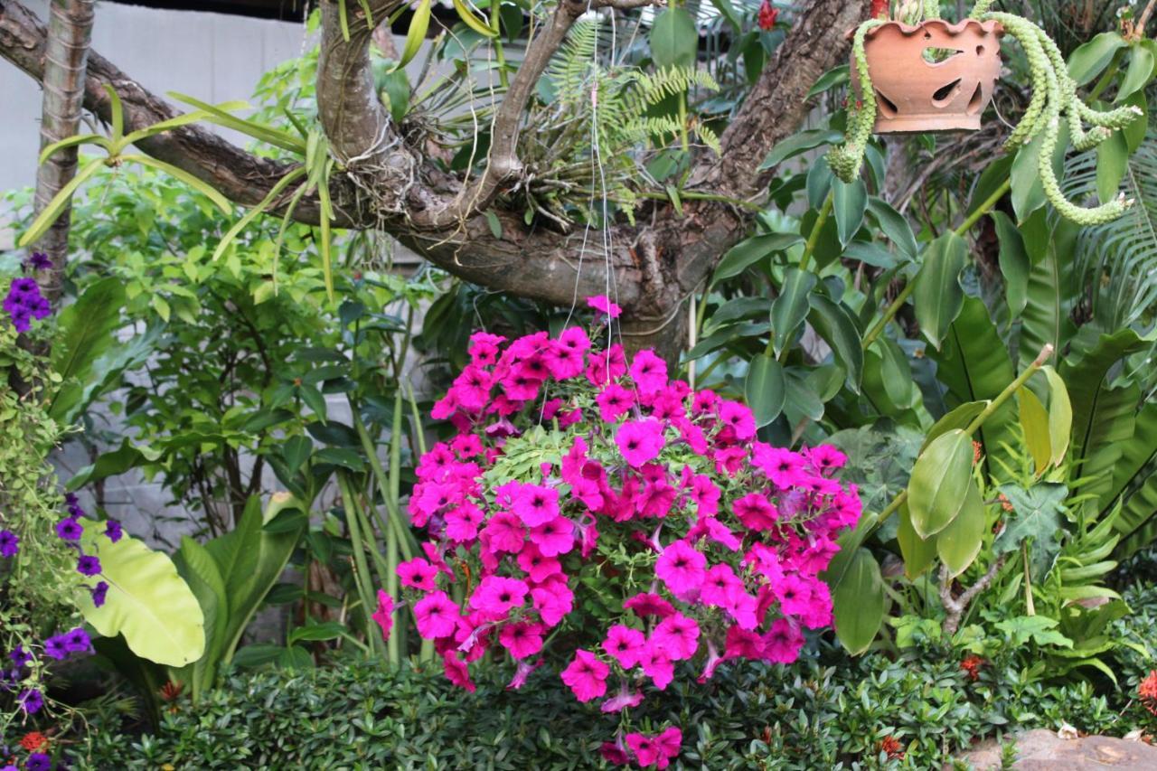 White Elephant Resort