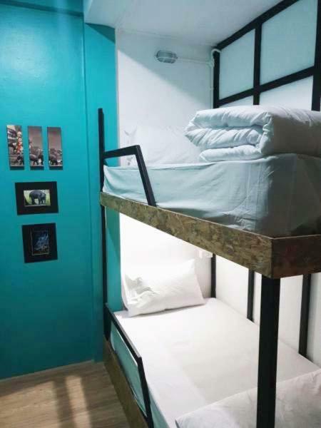 Albergue First