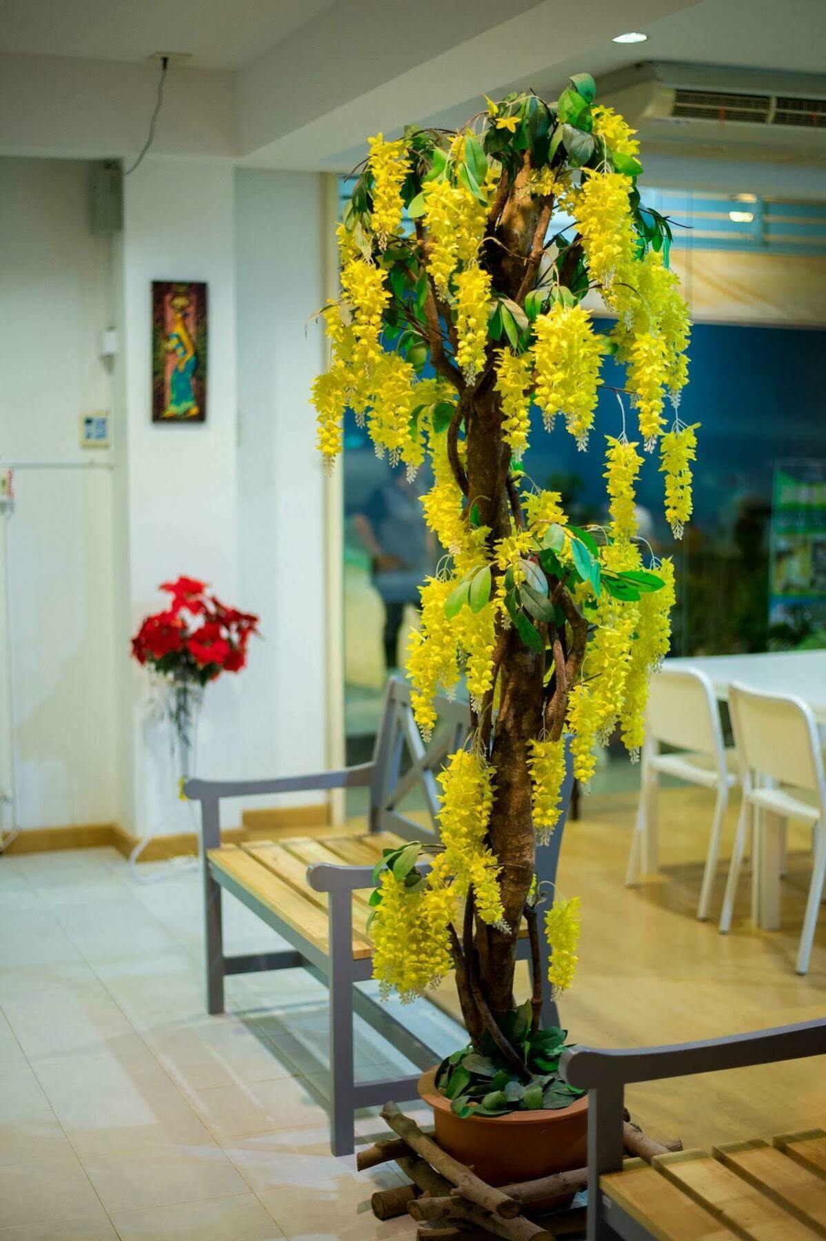 Z-talay House Acomodação com café da manhã 