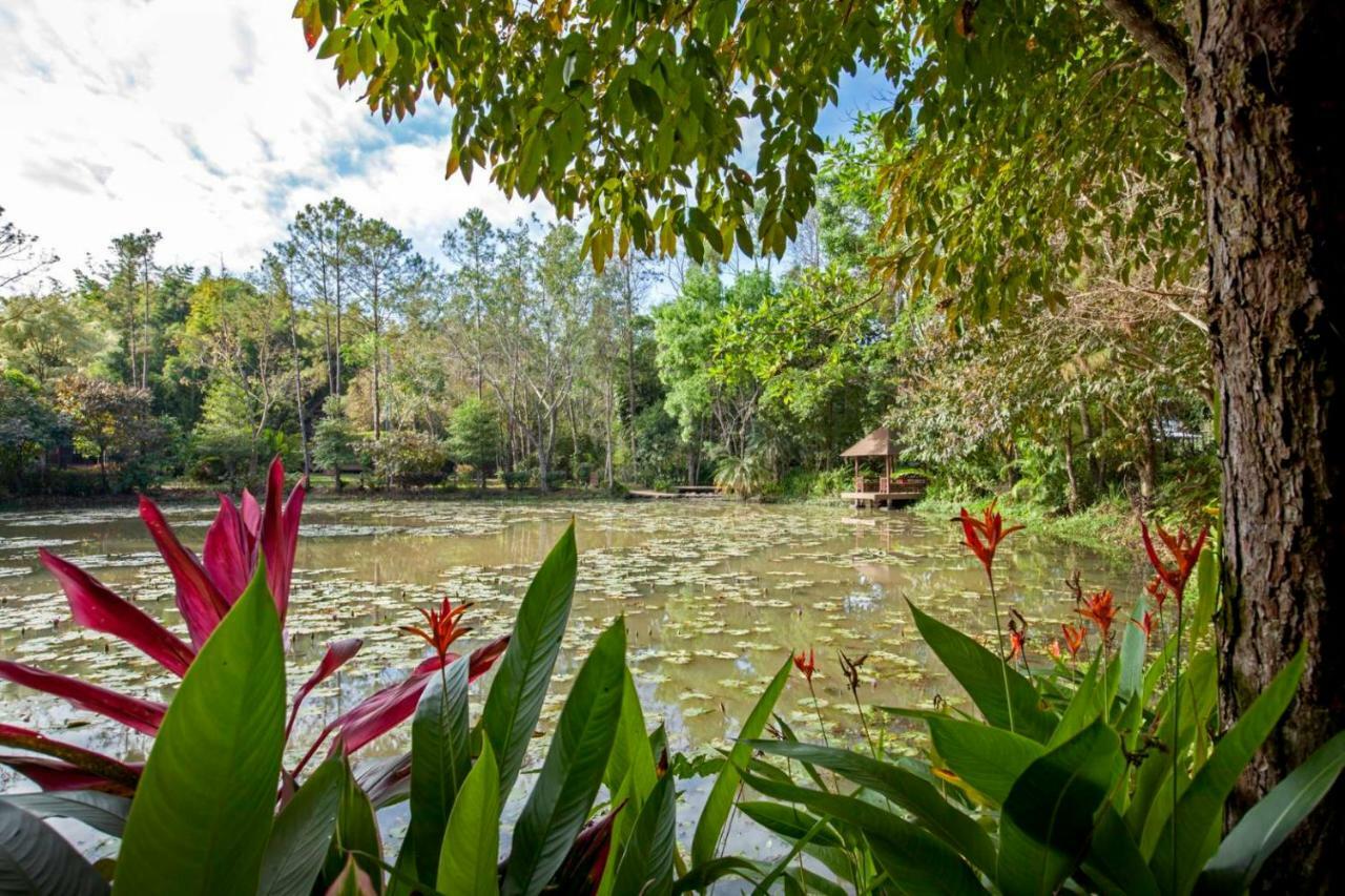 Khaokhoherbary Organicfarm&resort * Khao Kho