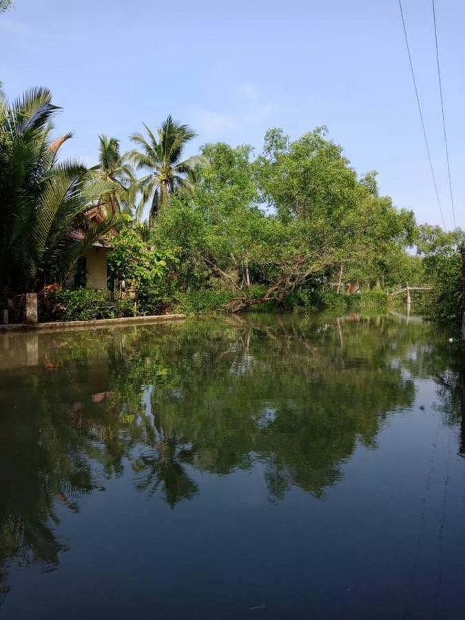 Young Coconut Garden Resort