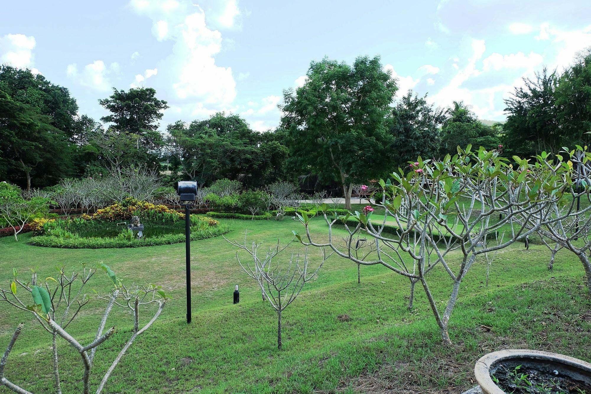 Lilawalai