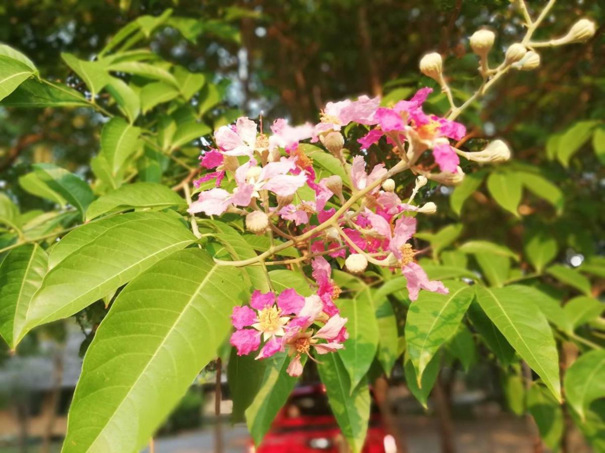 Phu Pai Art Alojamento Mae Hong Son