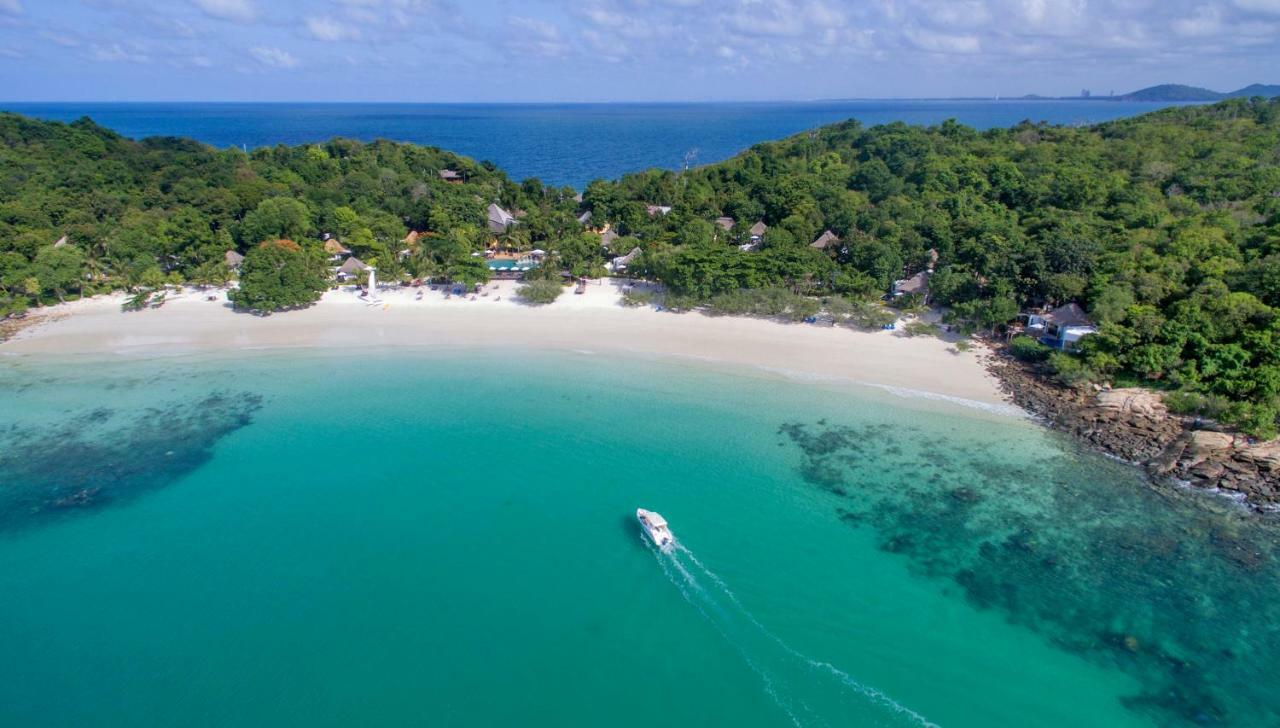 Paradee (adults Only) 5*