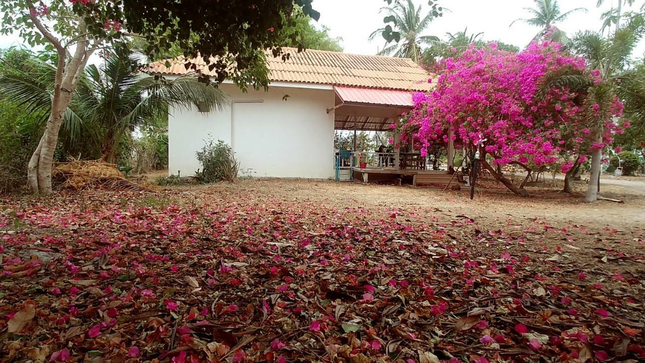 Wandee * Ban Krut (Prachuap Khiri Khan)