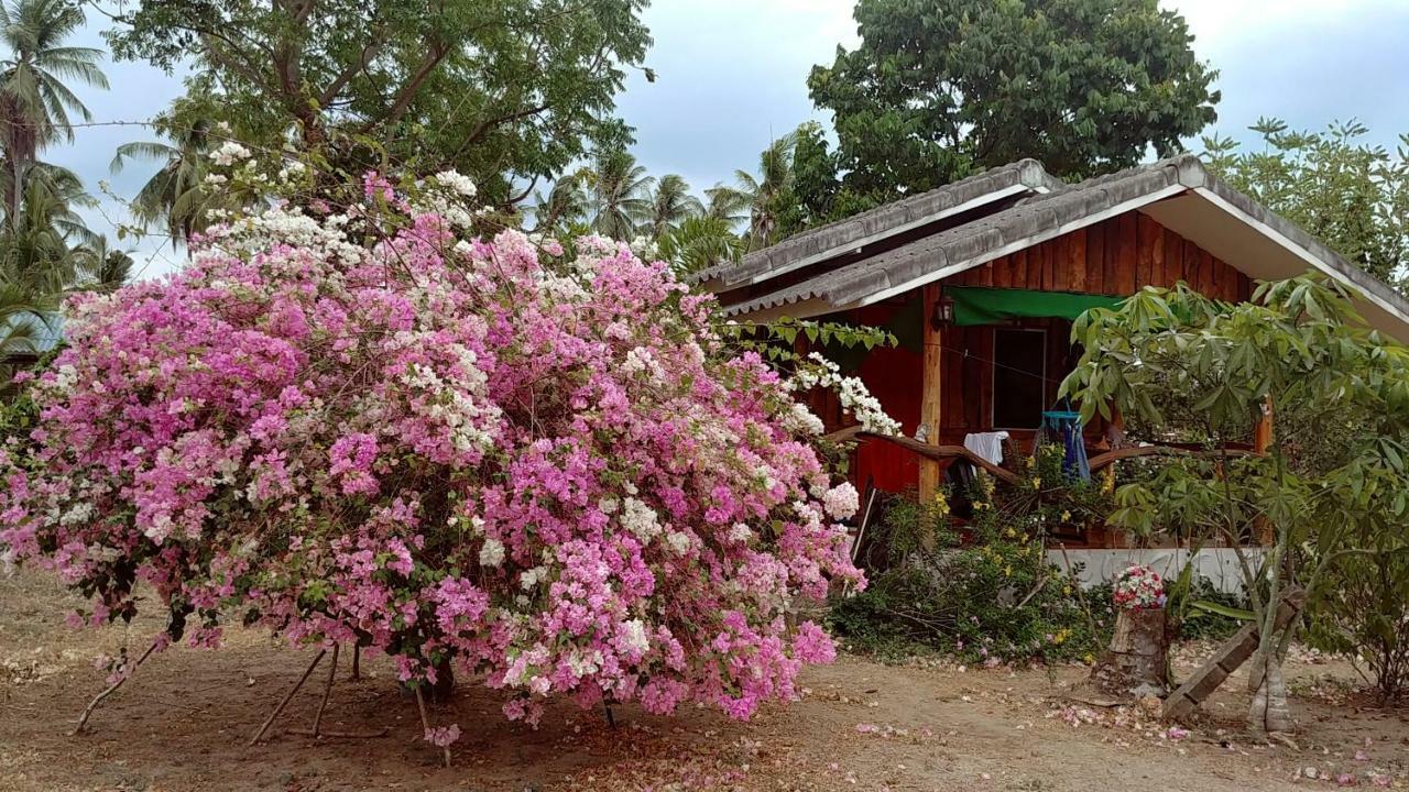 Wandee * Ban Krut (Prachuap Khiri Khan)