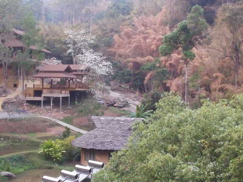 Resort The Natural Healing Retreat Mae Rim