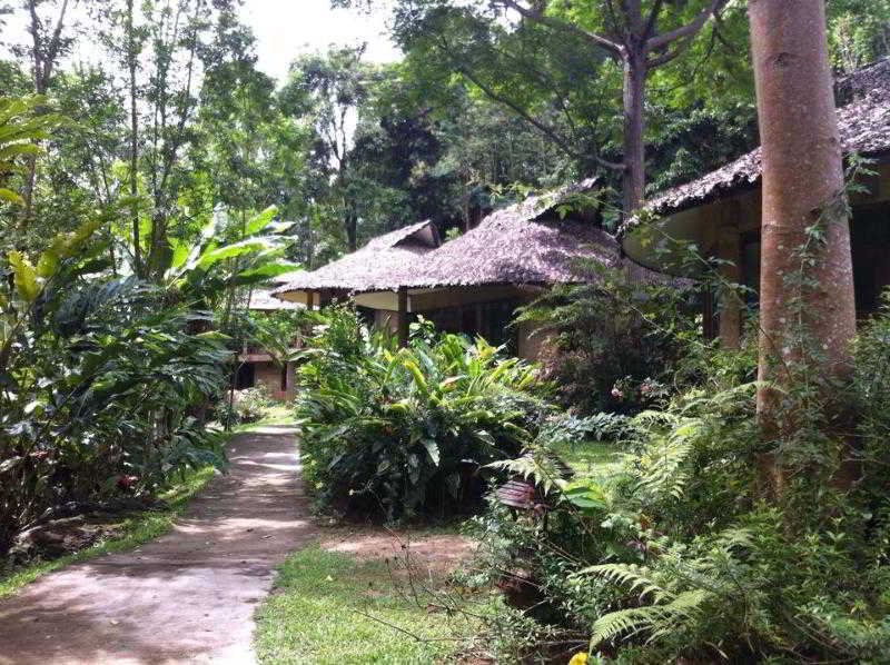The Natural Healing Retreat Mae Rim