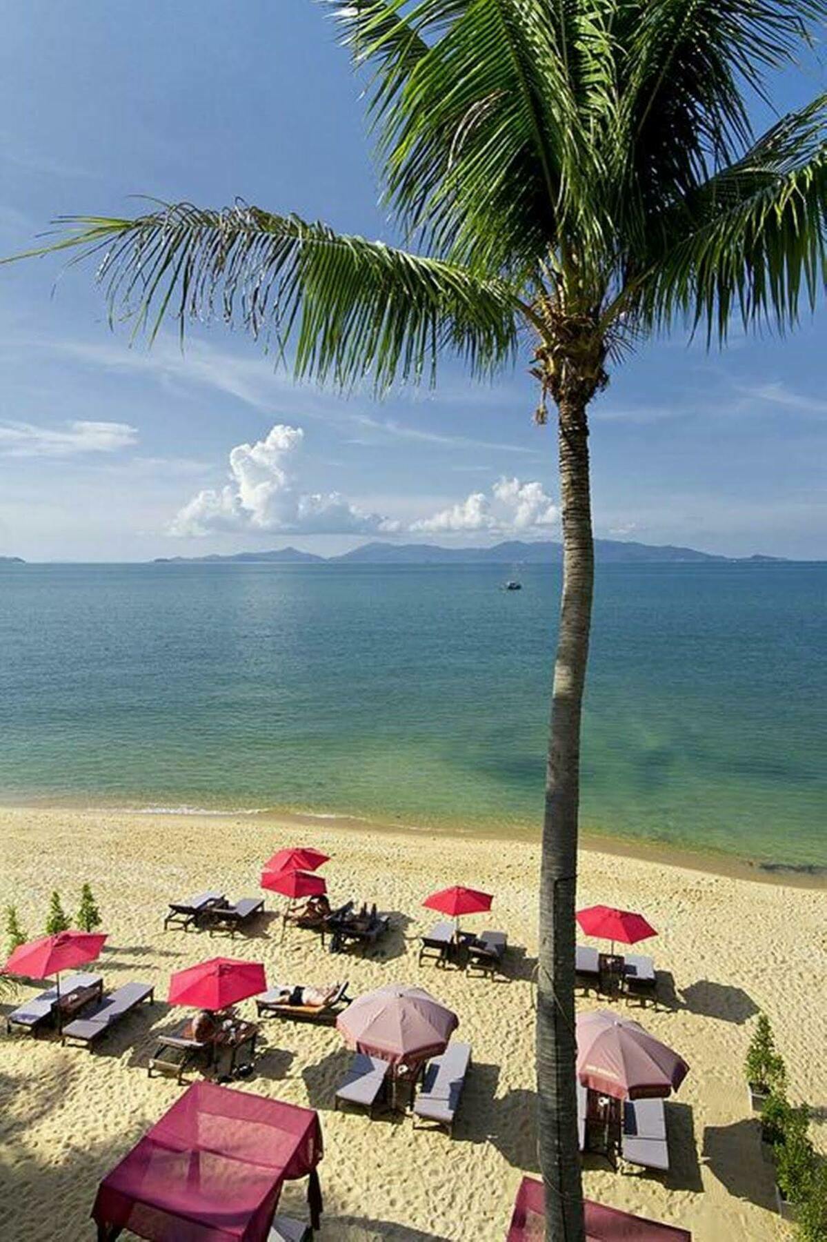 Hotel Saona 3*