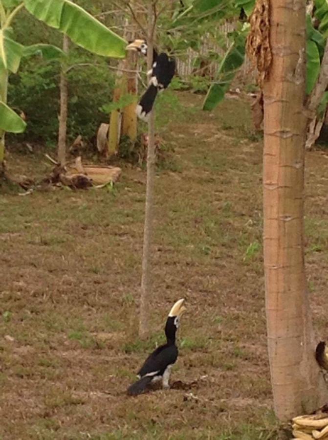 Bannsuan Amaleena Resort