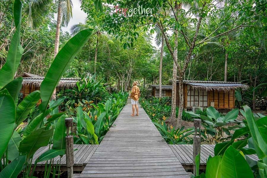 Resort Jungle Koh Kood Ko Kut