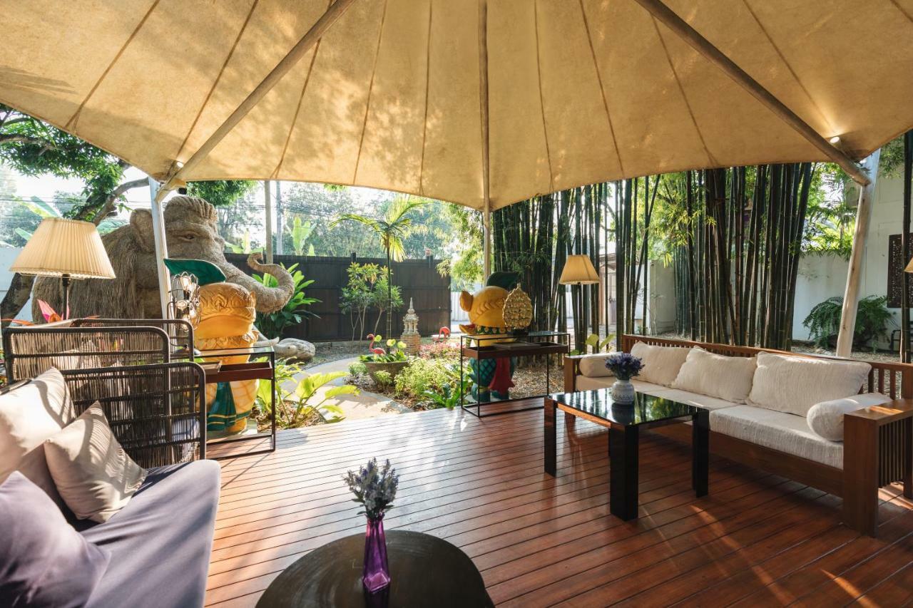 Mango T. Chiangmai