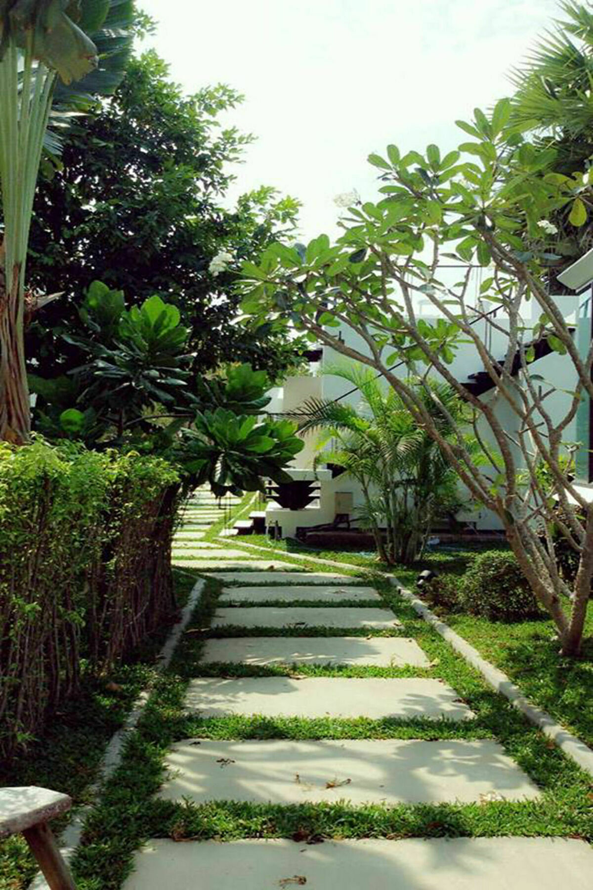 Chaam Eco Camp Resort