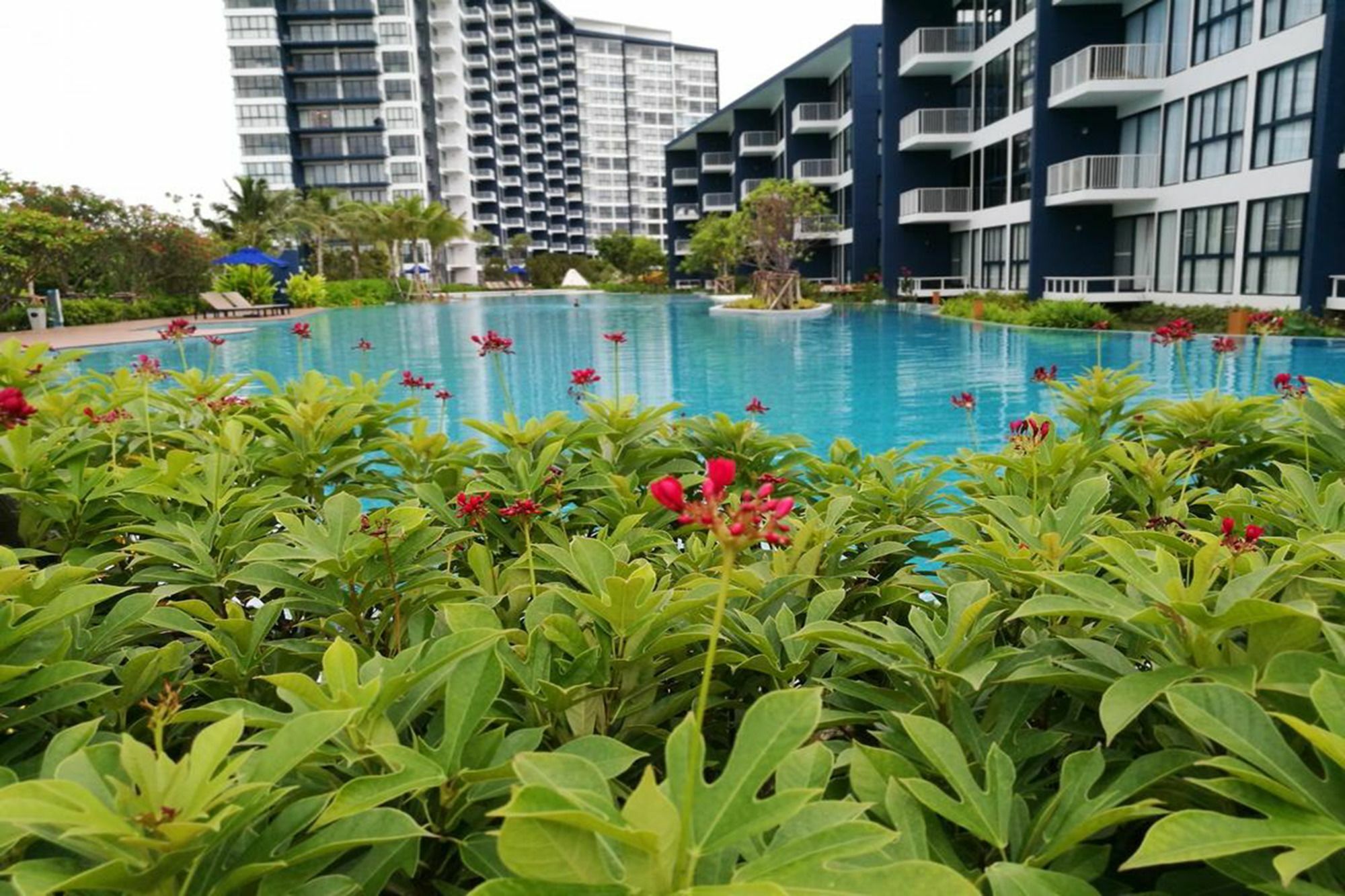 Blue Sapphire Apartment