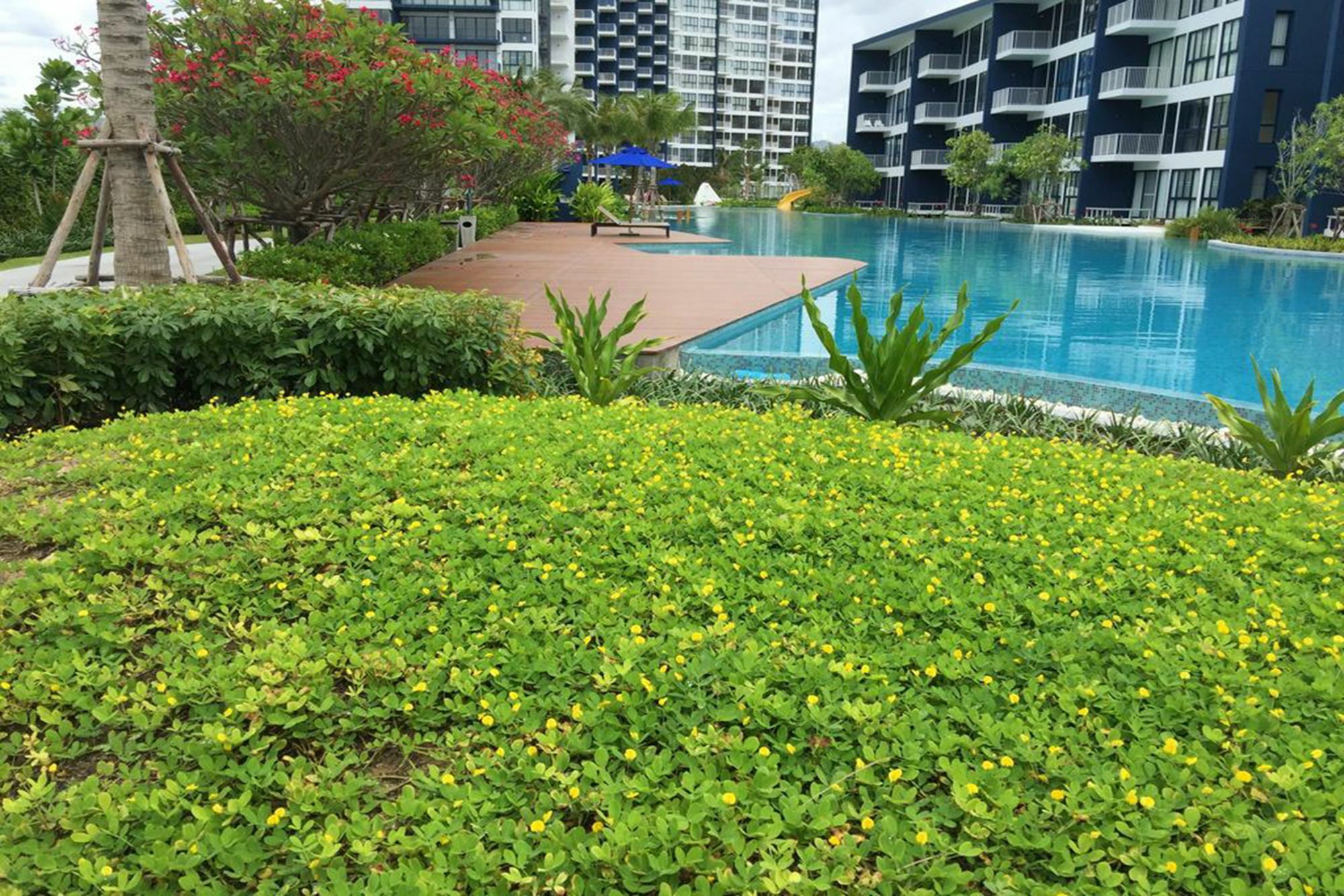 Apartment Blue Sapphire