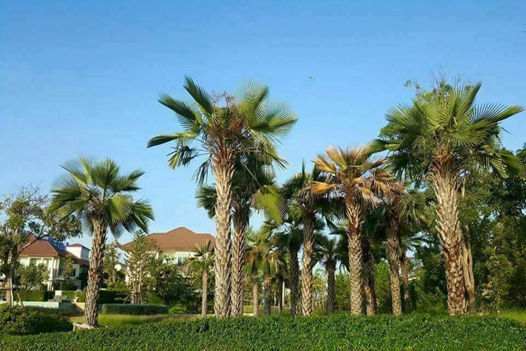 Panorama Sea View At Boulervard