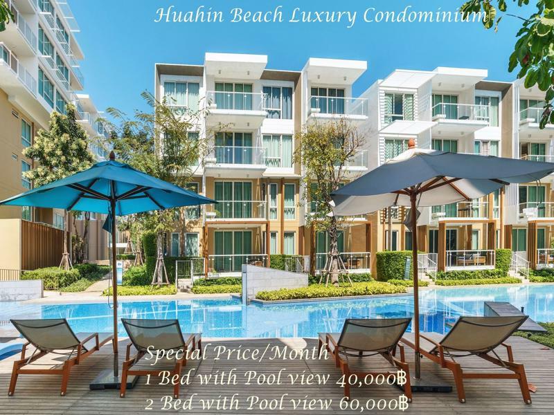 Luxury Apartment