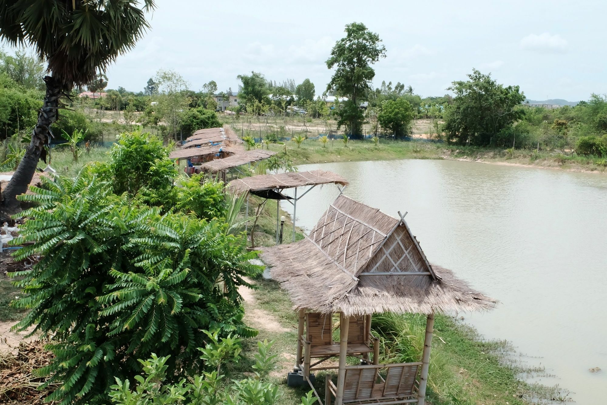 Hotel Freddies Fishing Park Ban Huai Yai