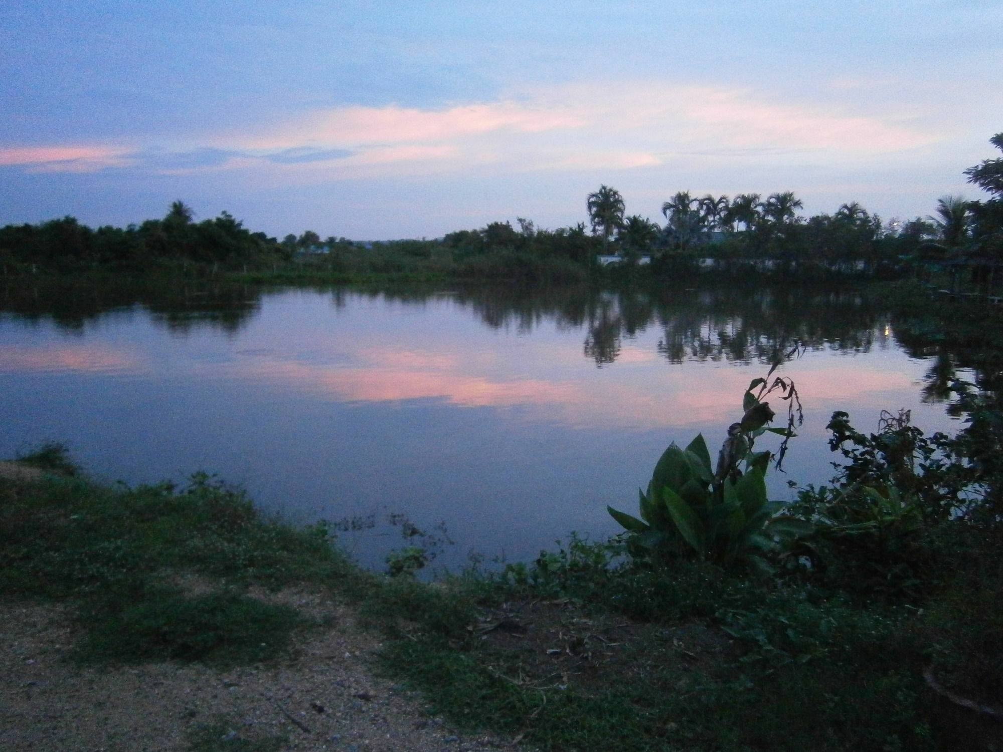 Freddies Fishing Park Ban Huai Yai
