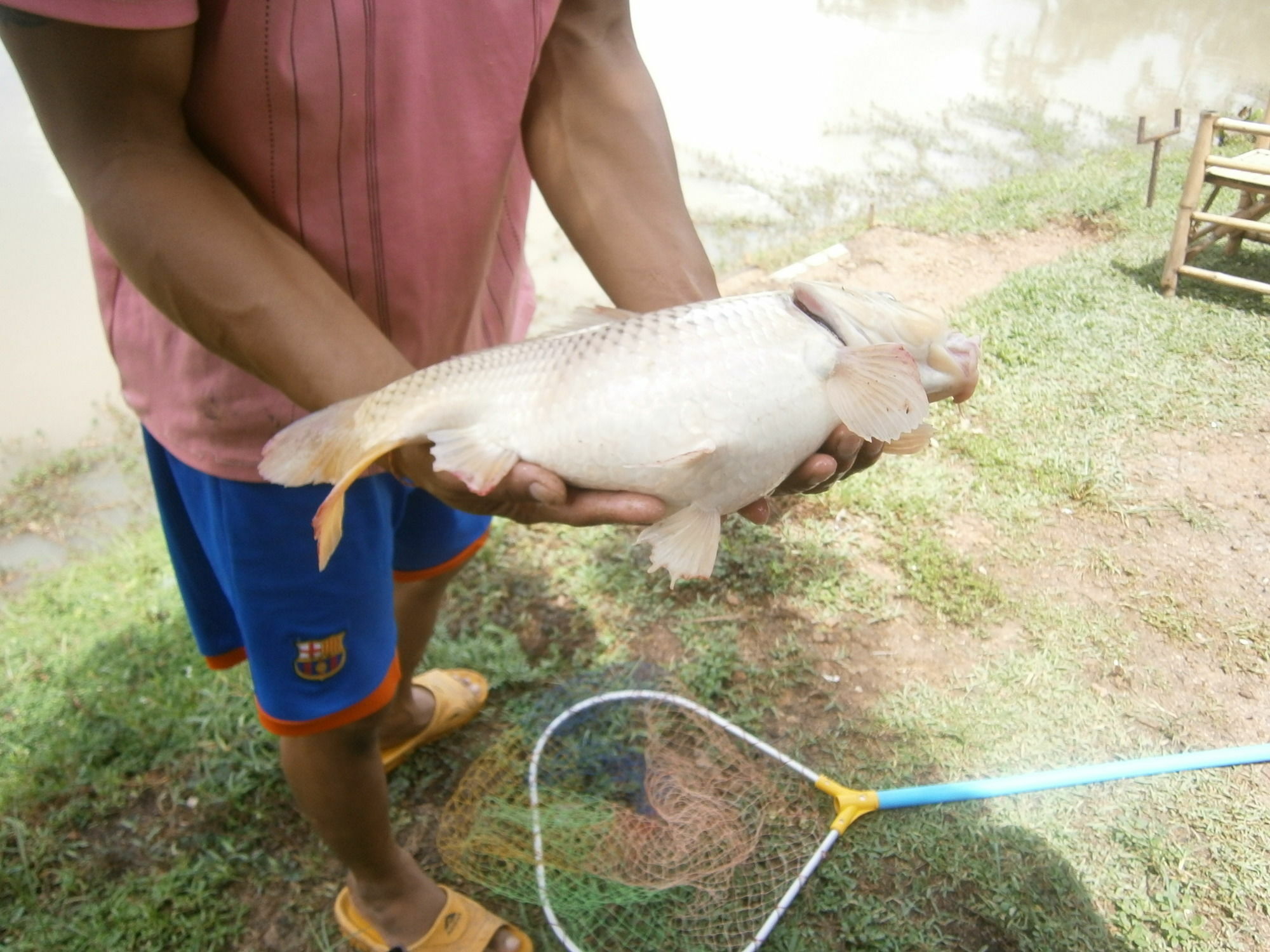 Freddies Fishing Park 3* Ban Huai Yai