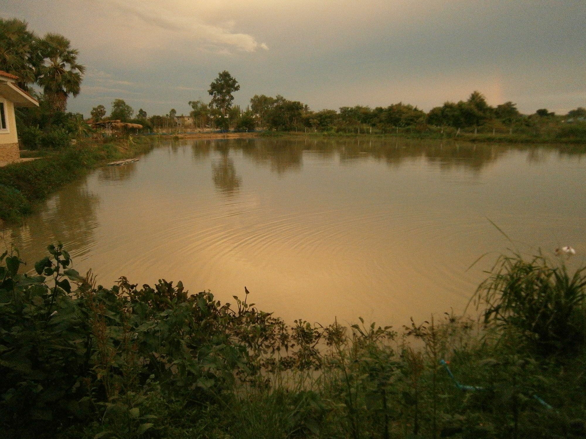 Freddies Fishing Park 3* Ban Huai Yai