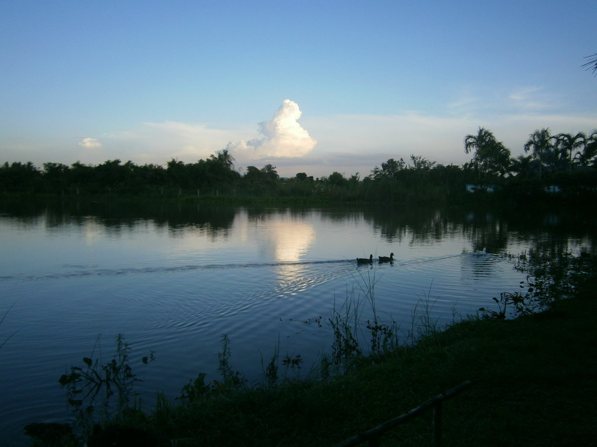 Freddies Fishing Park 3* Ban Huai Yai