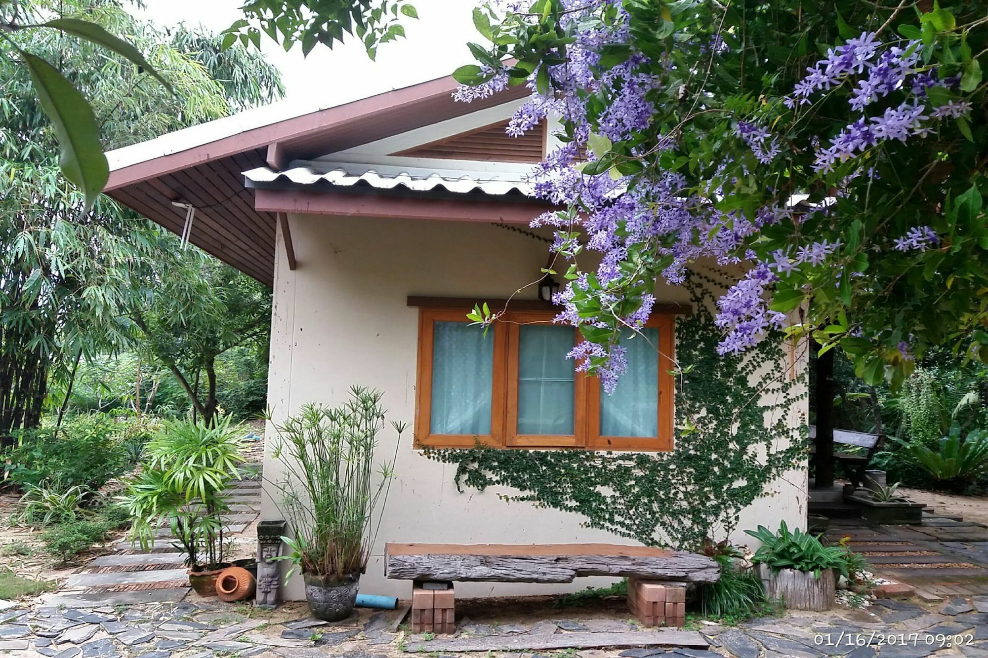 Rai Lung Tui