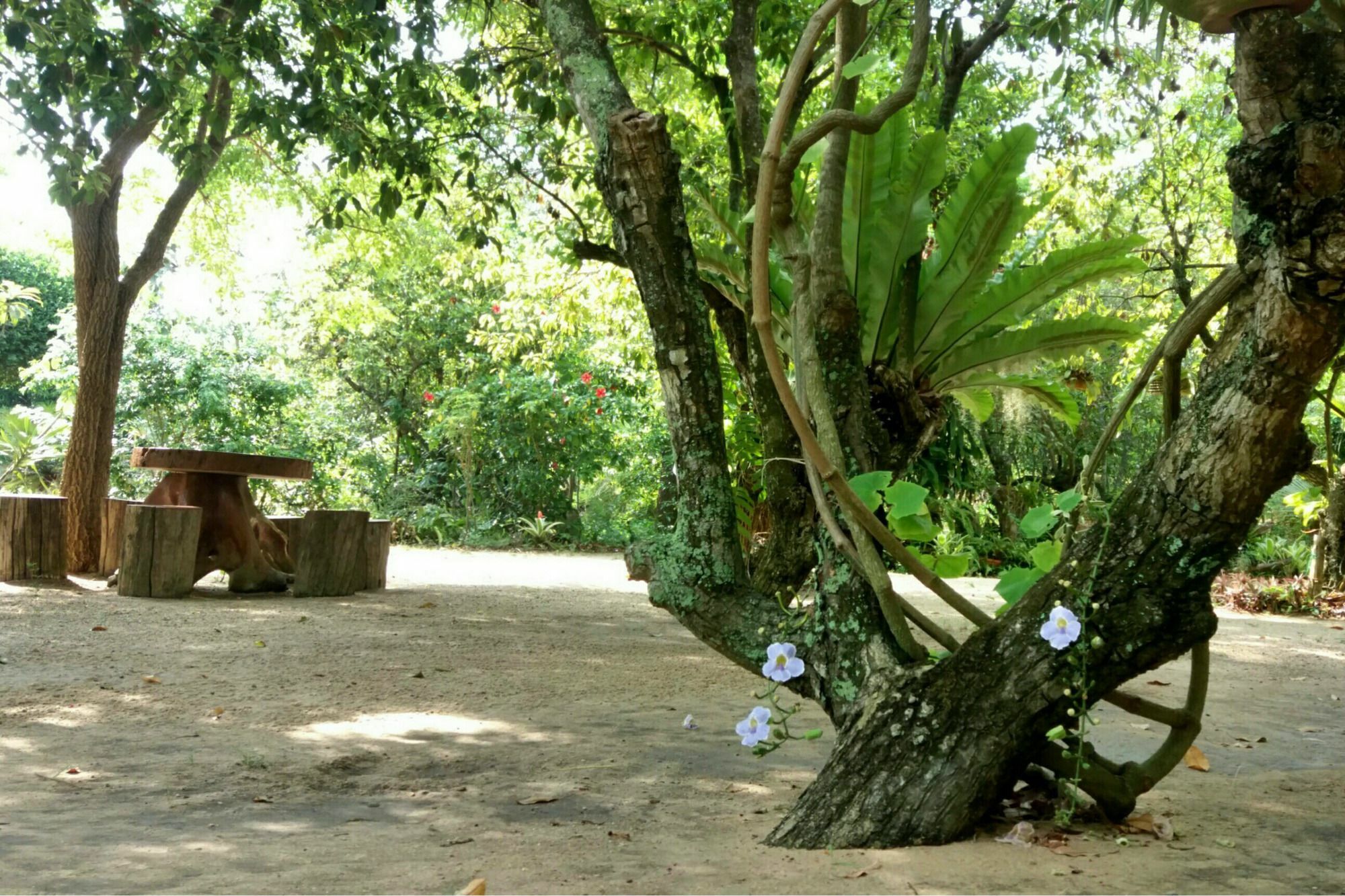 Rai Lung Tui Homestay *