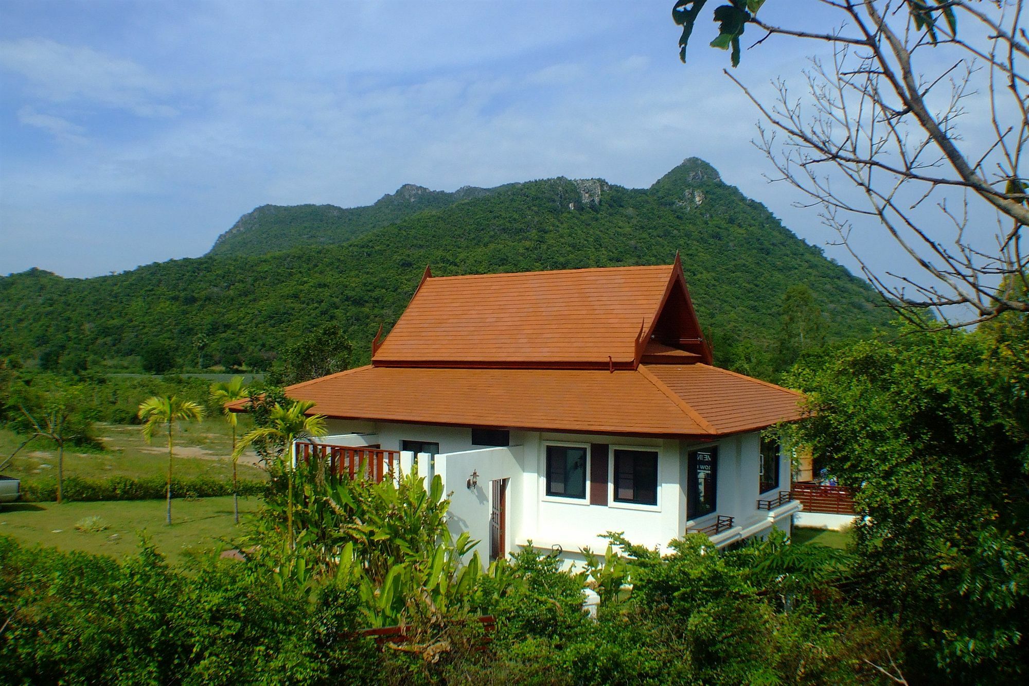 Mountain Breeze *