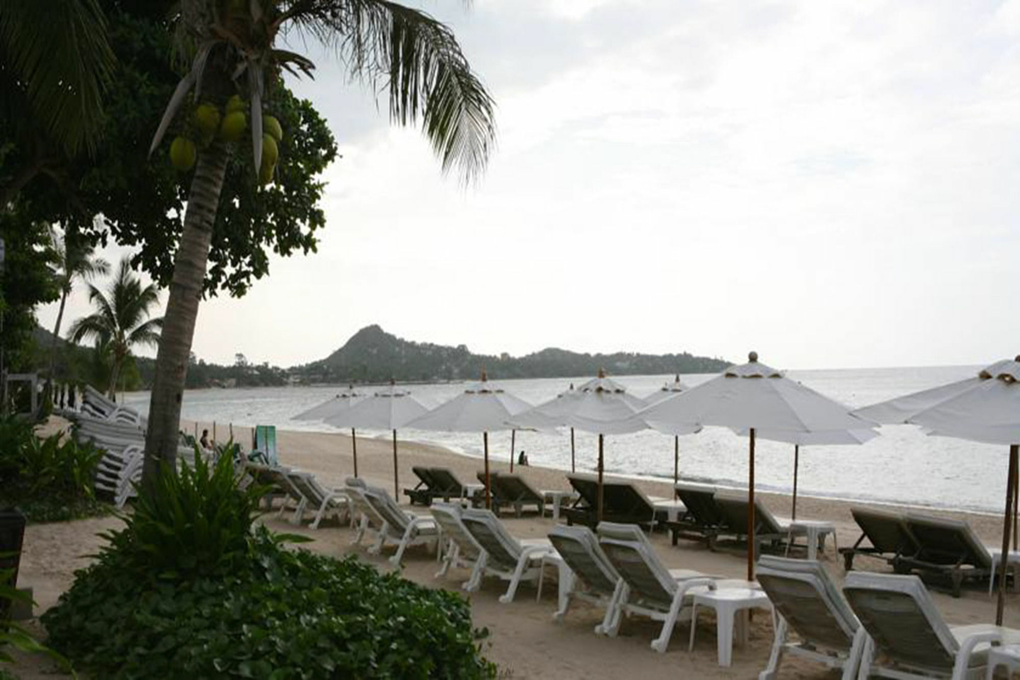 Samui Jasmine - Sha Resort