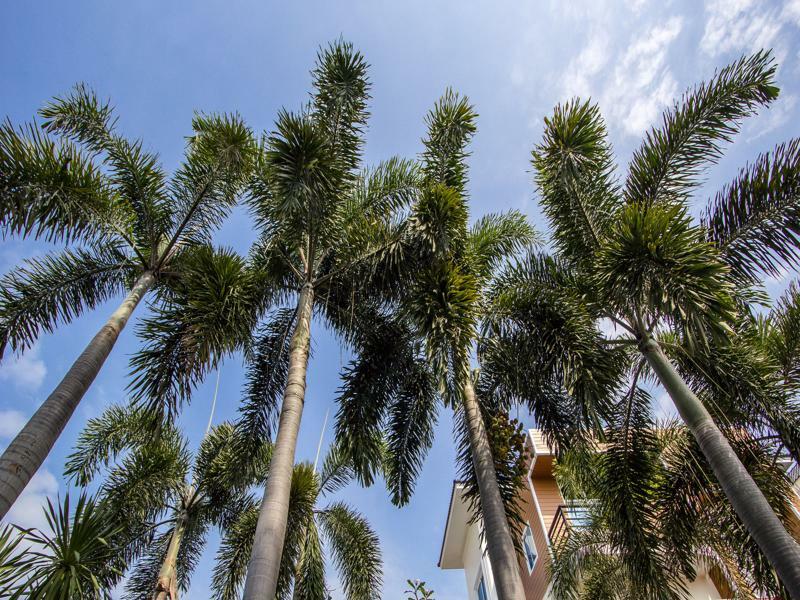Phu Places Aparthotel