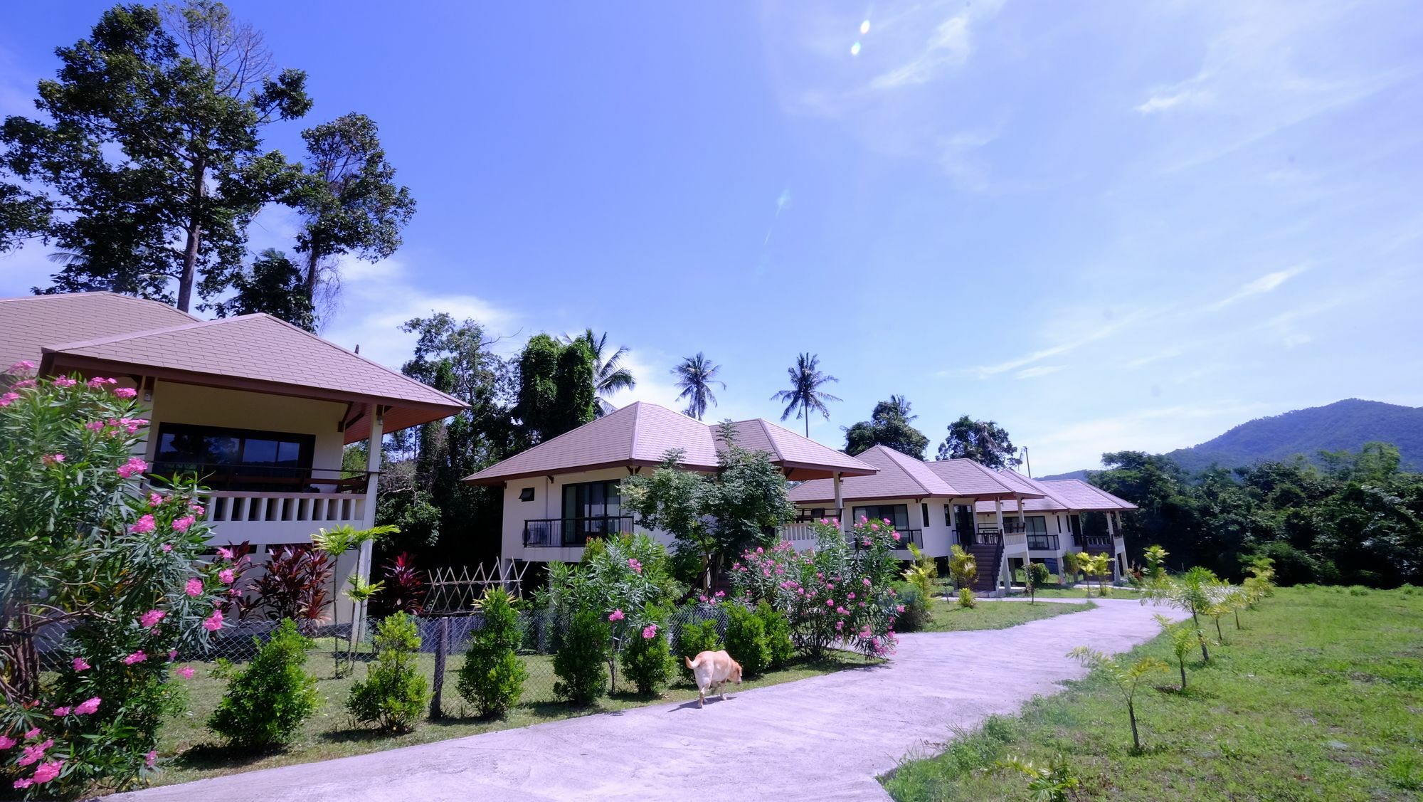 Pannipa Holiday home *
