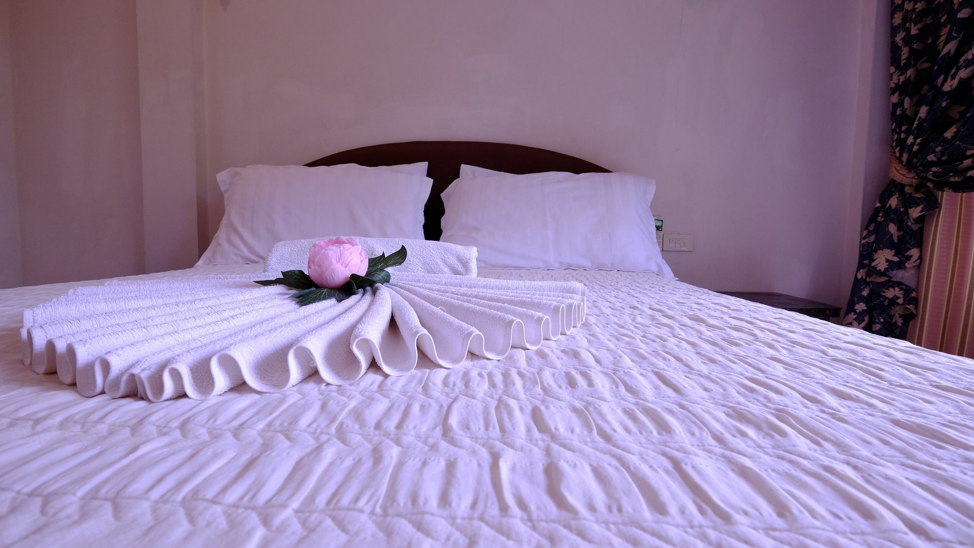 Samui Guest house