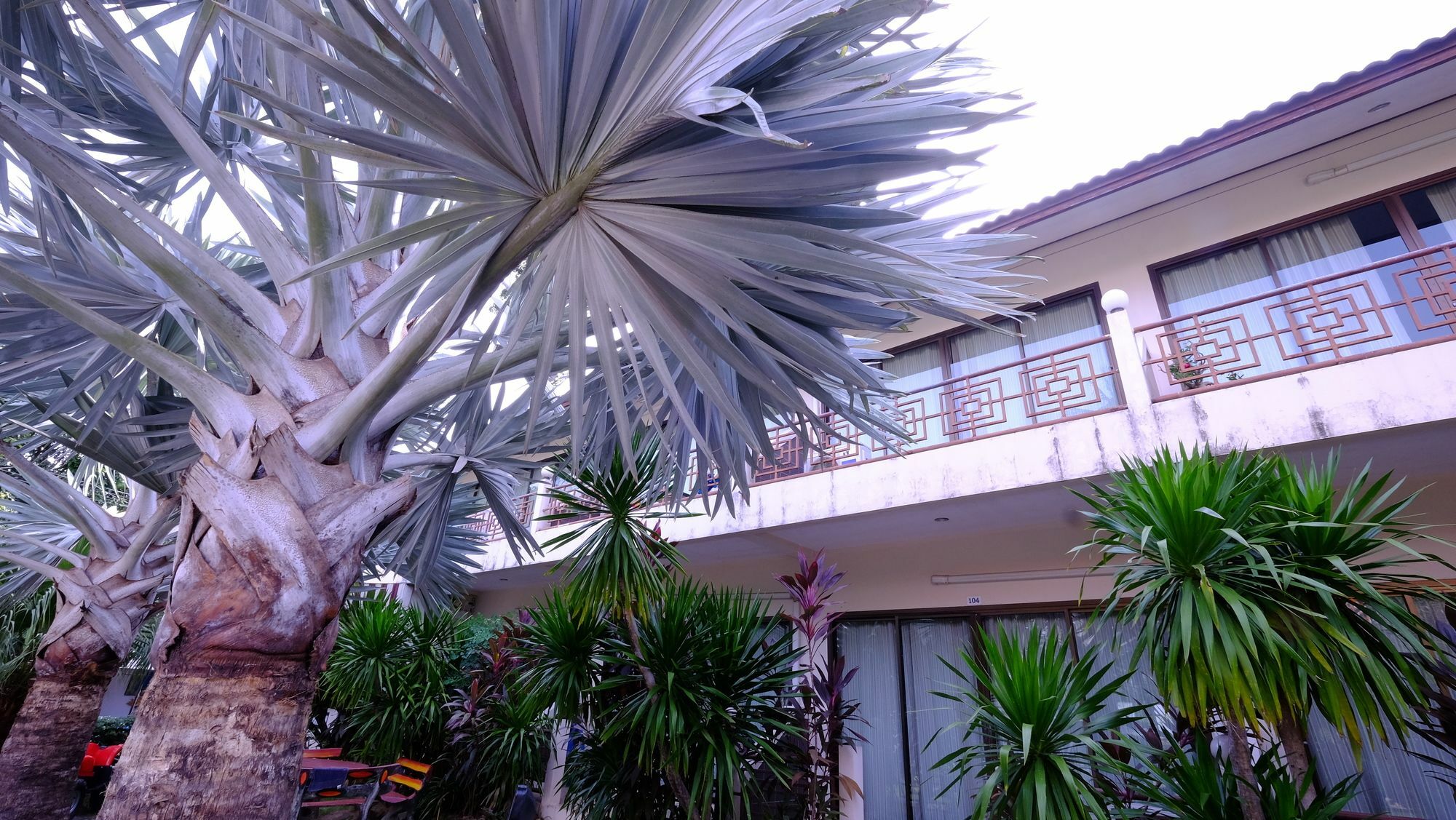 Guest house Samui Lamai Beach (Koh Samui)