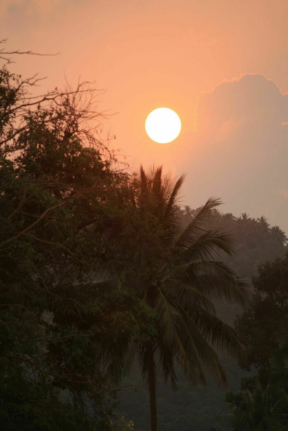 Samui Le Reve Na Mueang