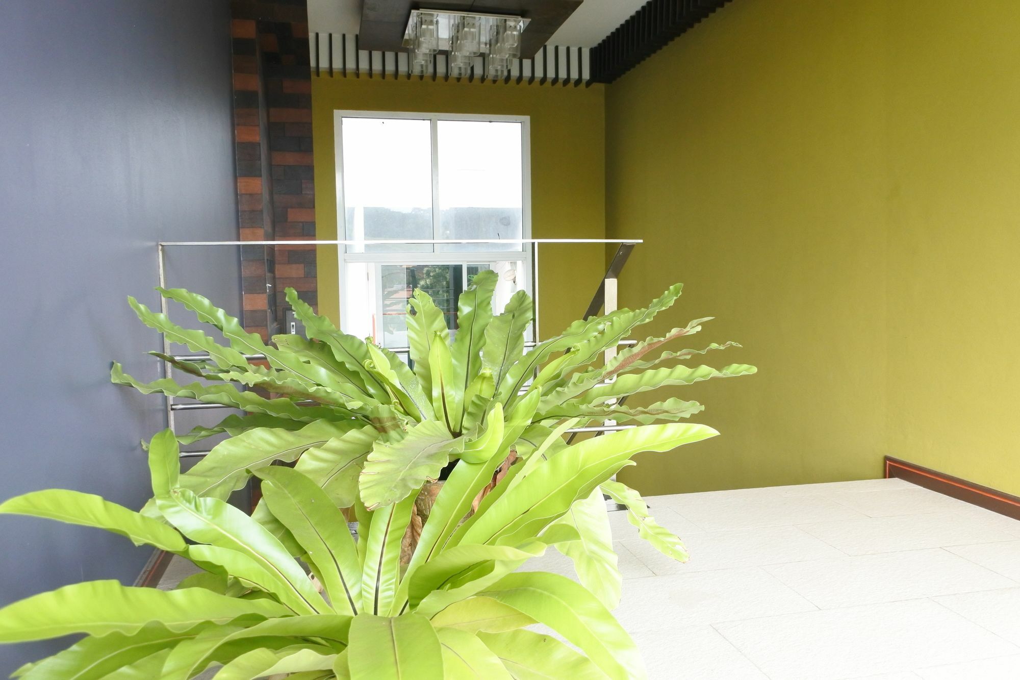 Baannueng@kathu Hotel Phuket