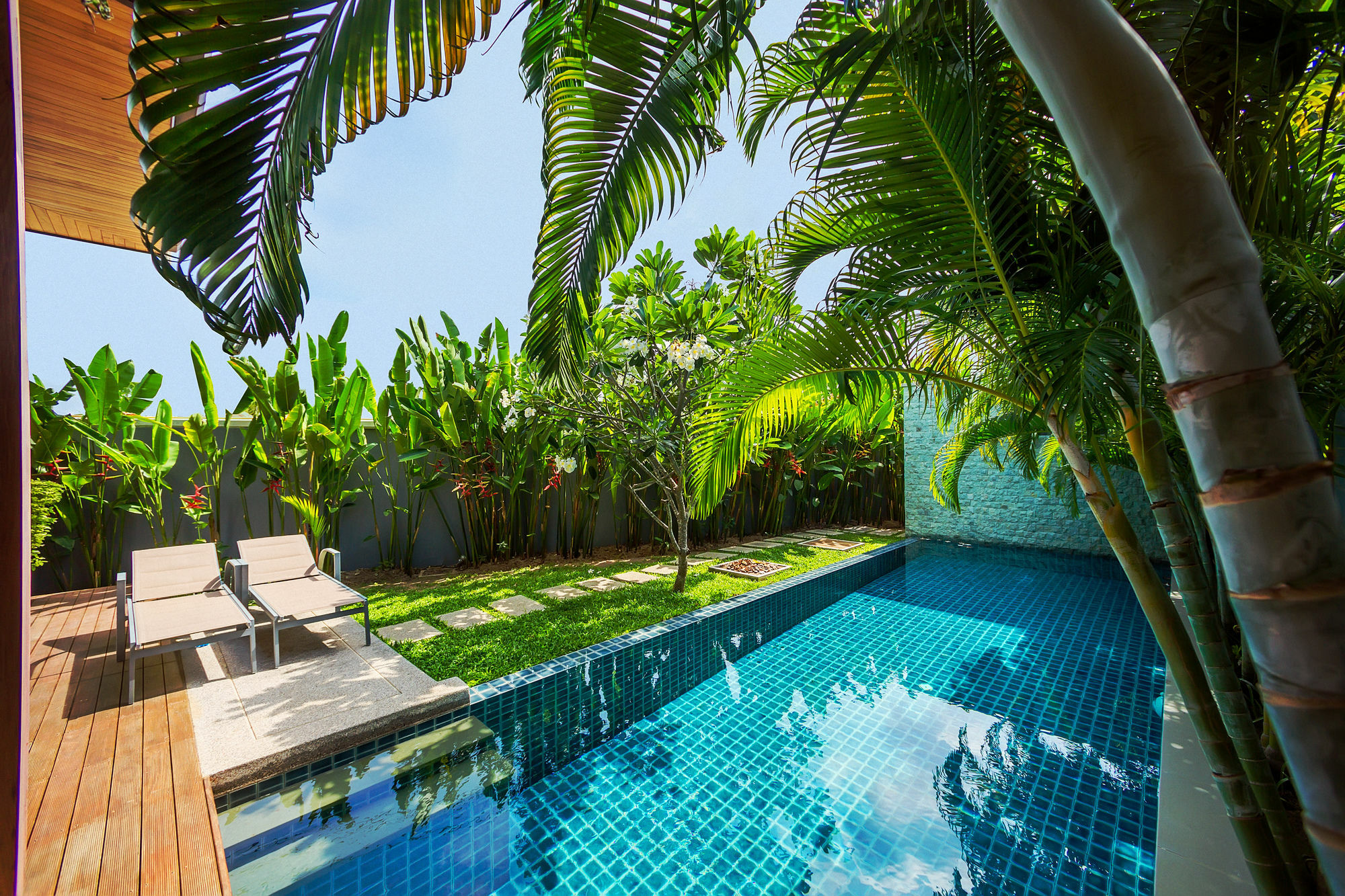 Kokyang By Tropiclook *