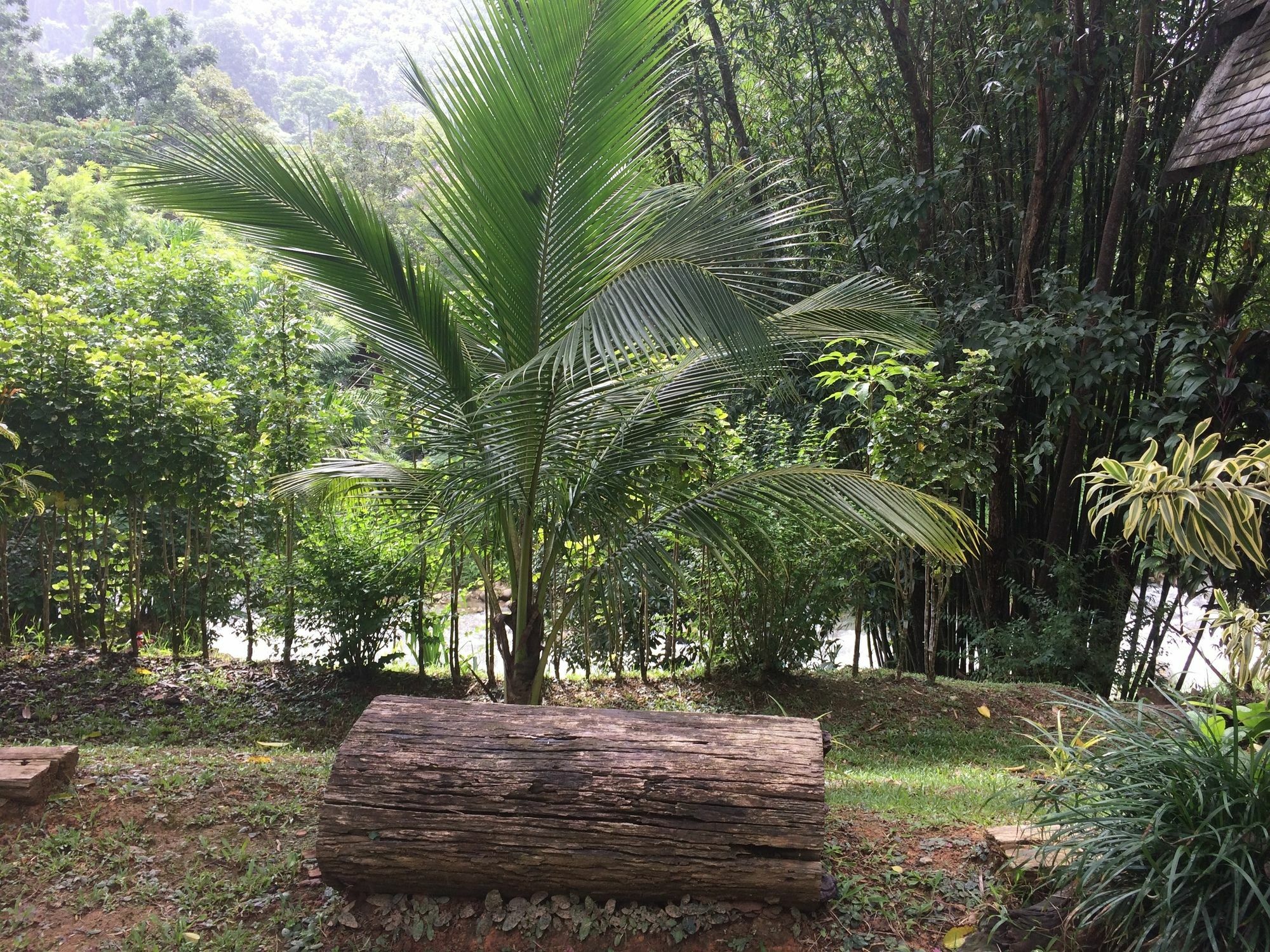 Thipthara Adventure Camp