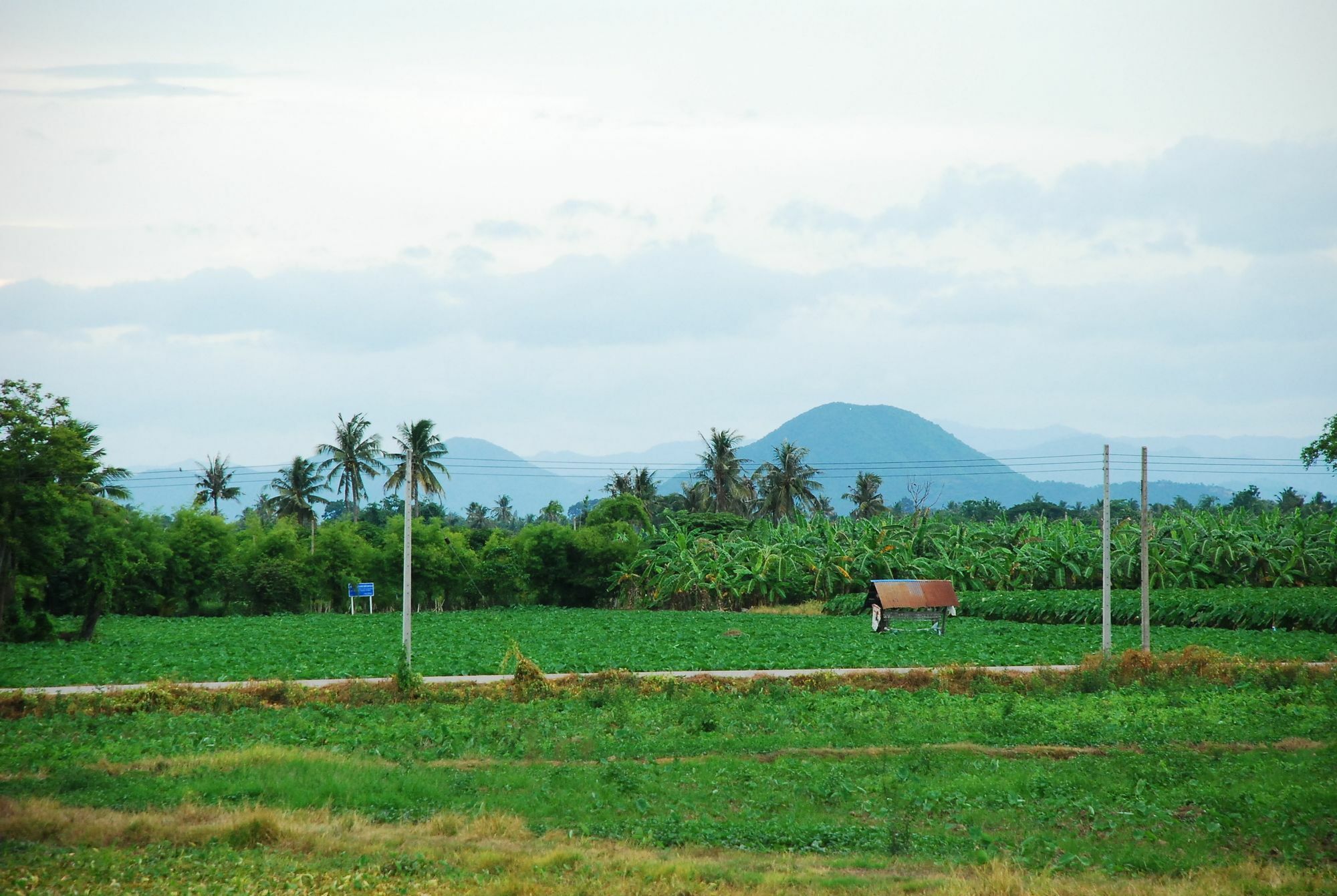 Tontan Resort