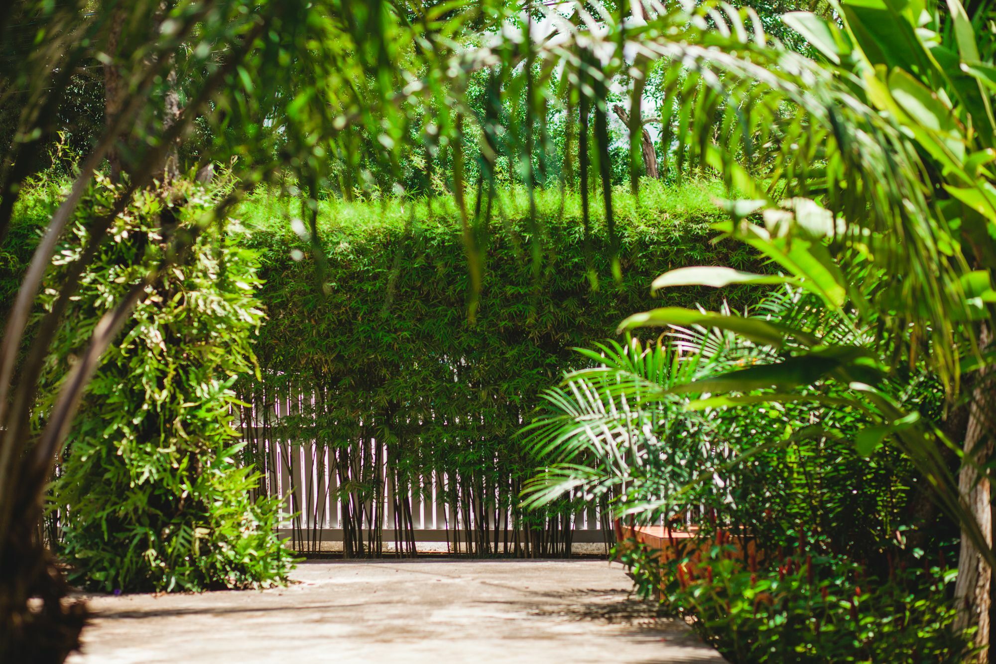 Villa Laguna