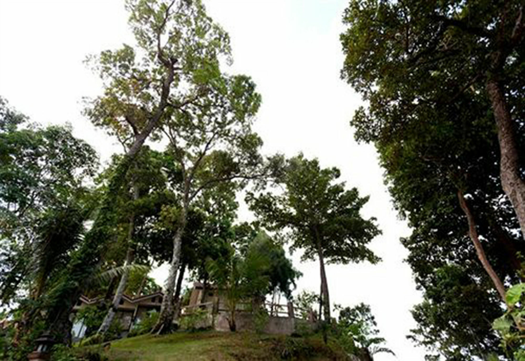Chang Cliff 3* Koh Chang