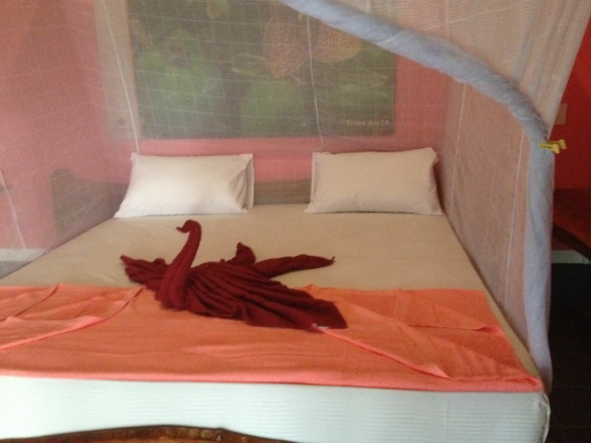 Resort Koh Jum Freeda
