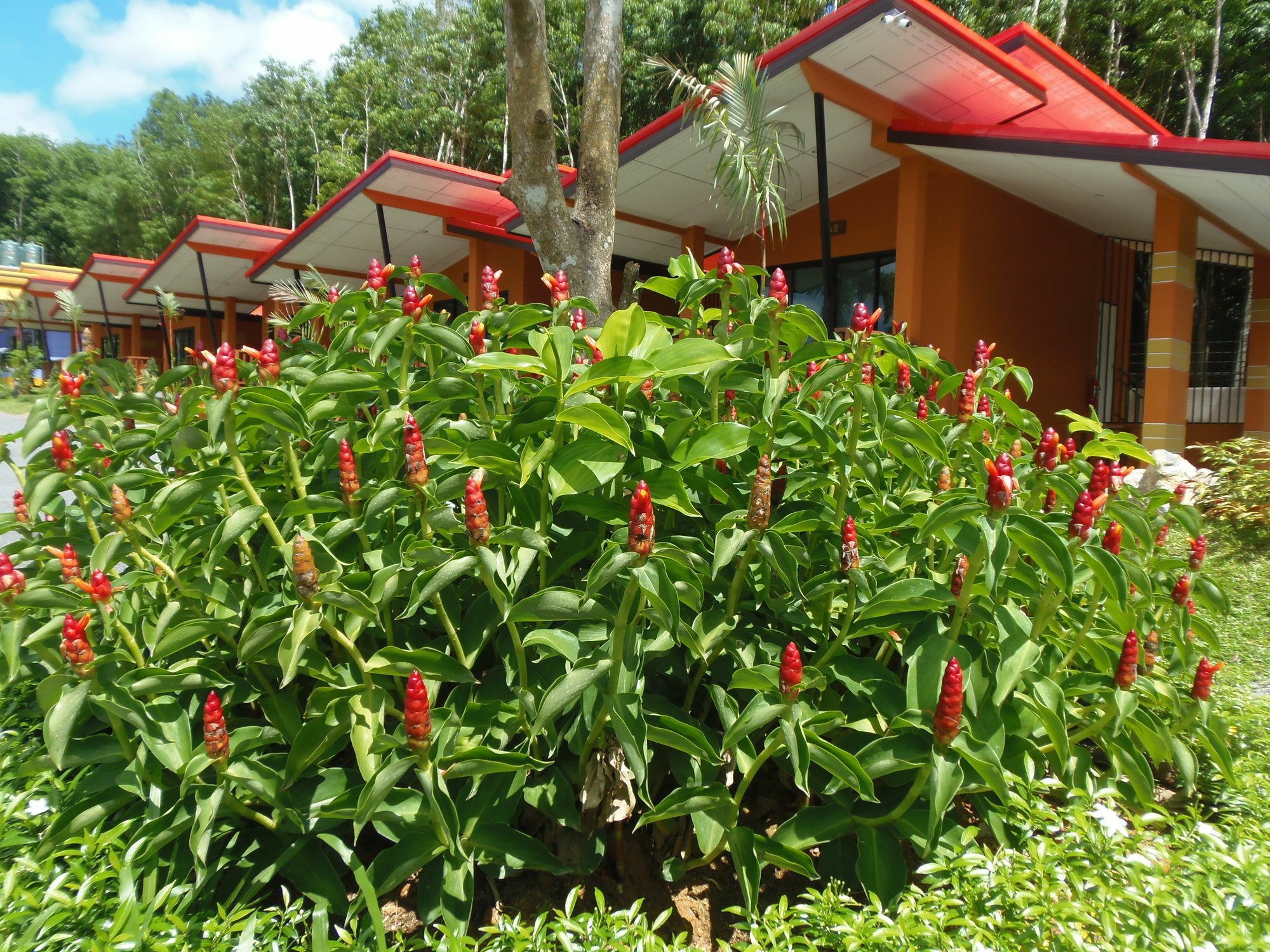 Krabi 3*