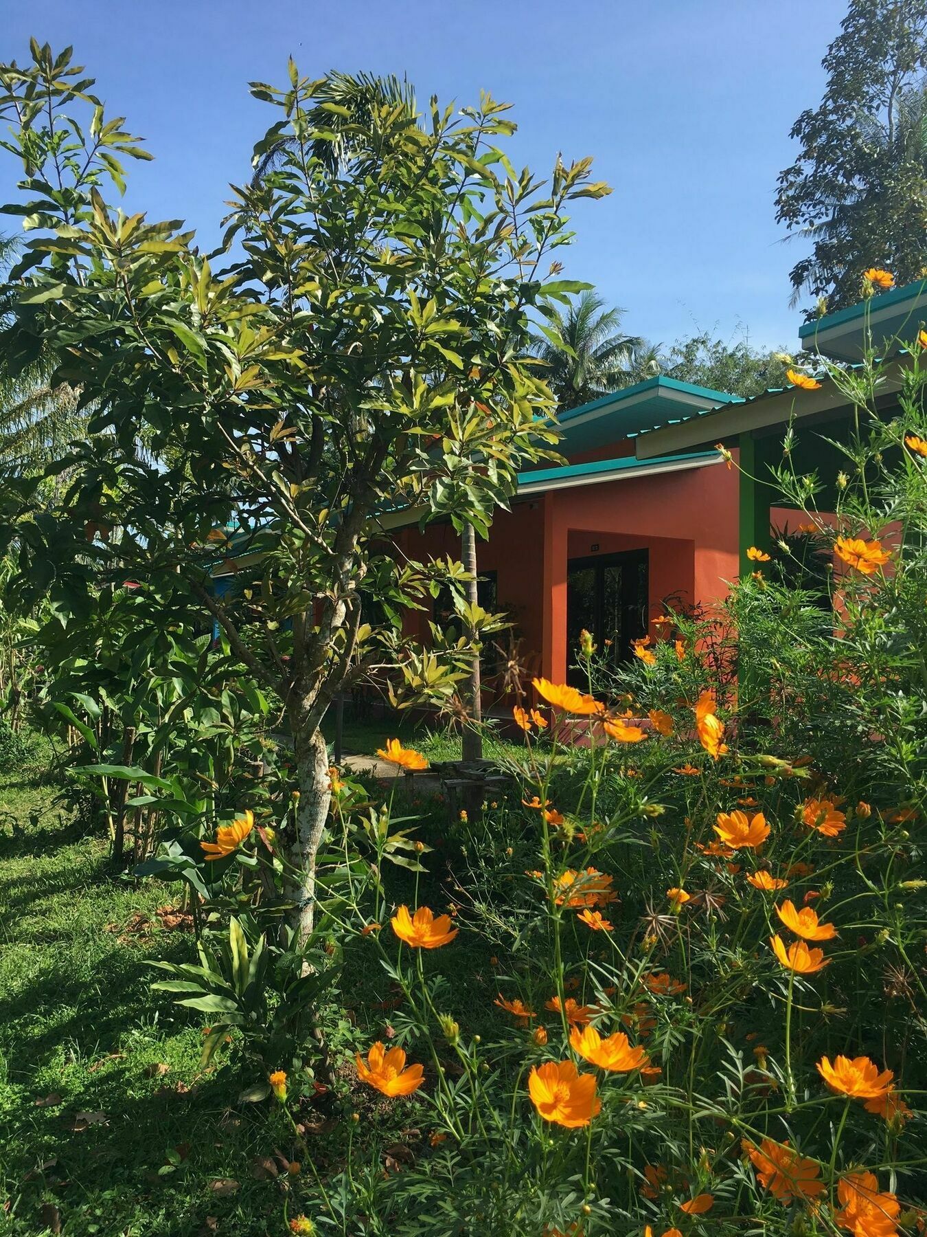 The Jasmine 2* Krabi