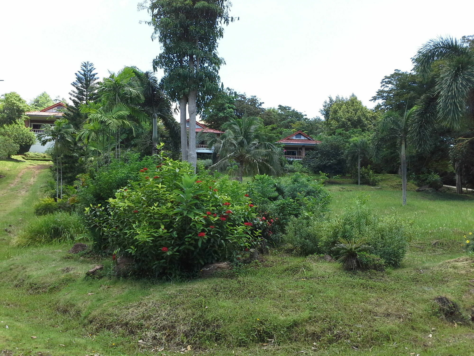 Freedom Estate Sea View *